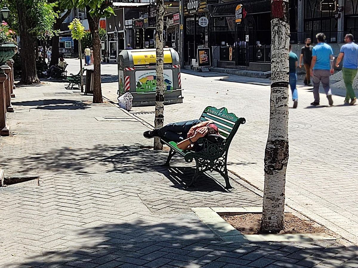 Kavurucu sıcağa aldırış etmeden güneşin altında uyudu