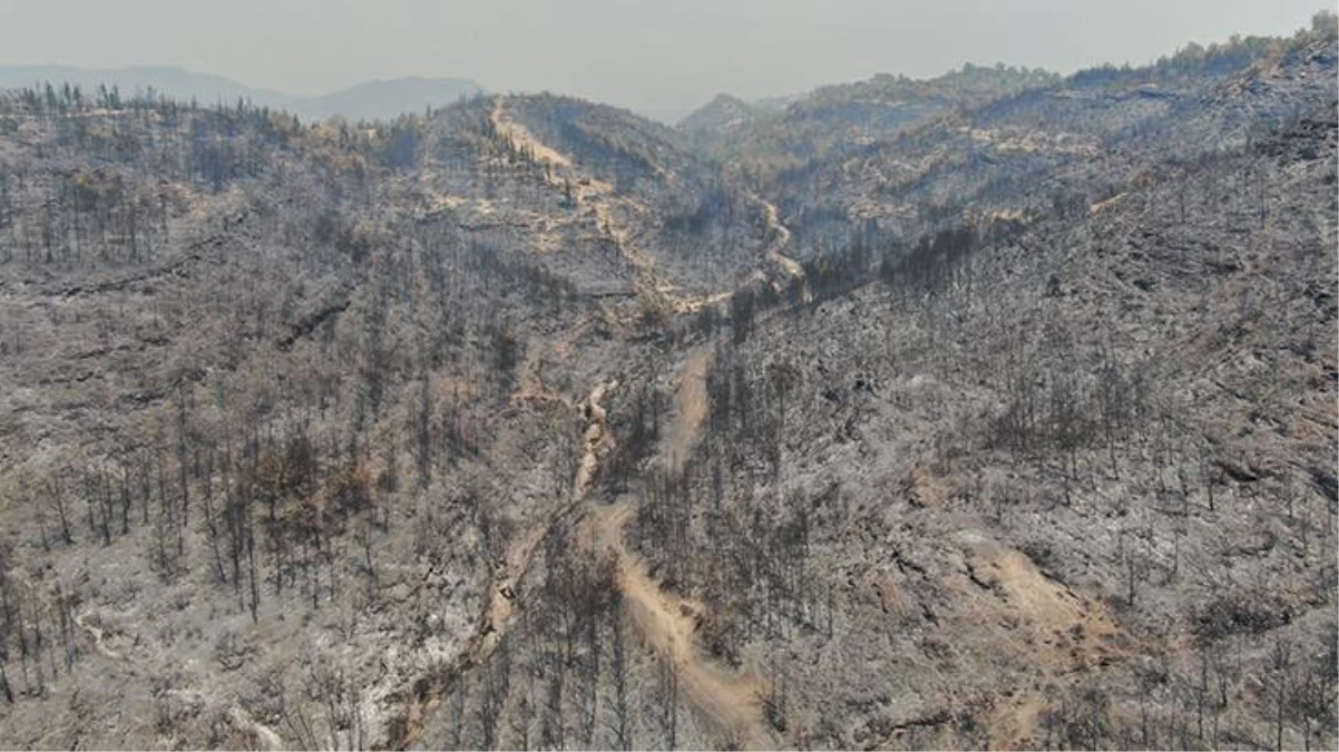 Manavgat\'ta yangından etkilenen alanlar havadan drone ile görüntülendi