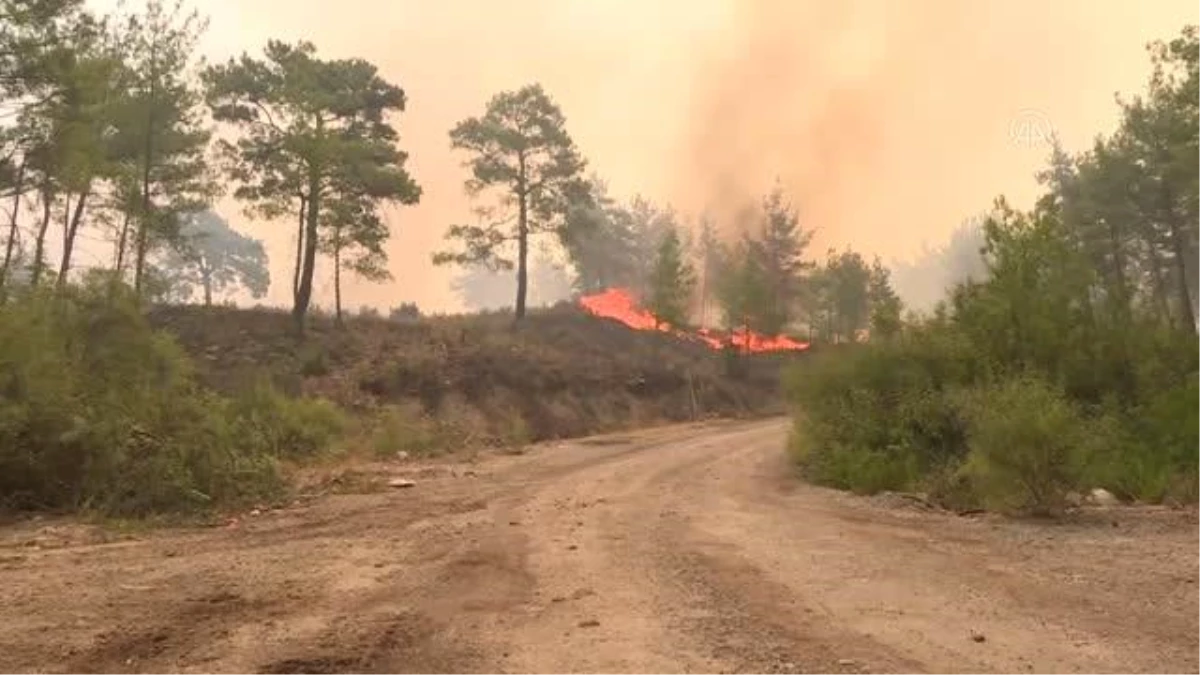 Son dakika haberi! Manavgat\'taki orman yangınlarına müdahale ediliyor