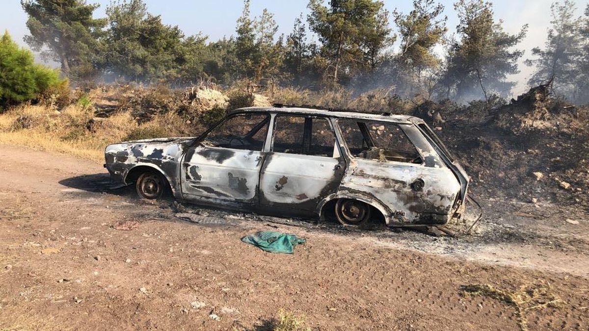 Manisa\'da otomobilden ormana sıçrayan yangın söndürüldü