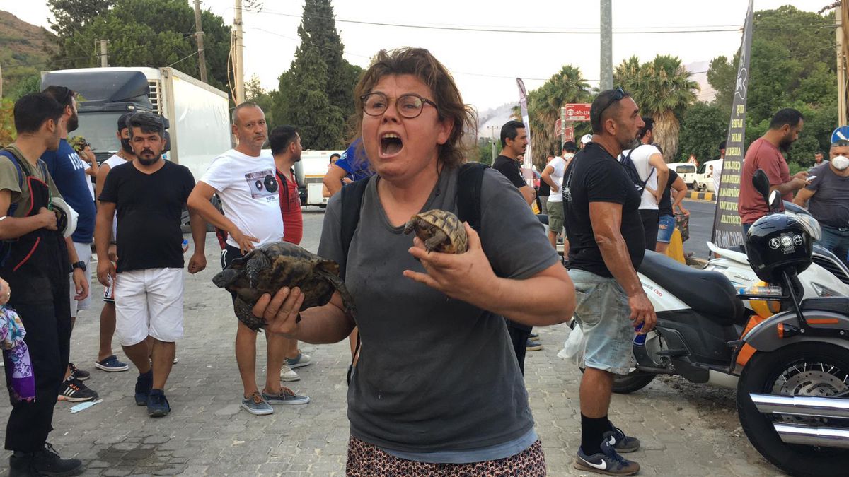 Son dakika haberleri... Marmaris\'teki orman yangınına müdahale devam ediyor