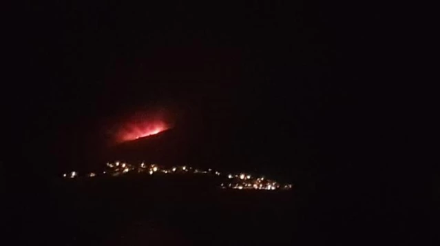 Milas'ta termik santral yakınlarına ulaşan yangın ...