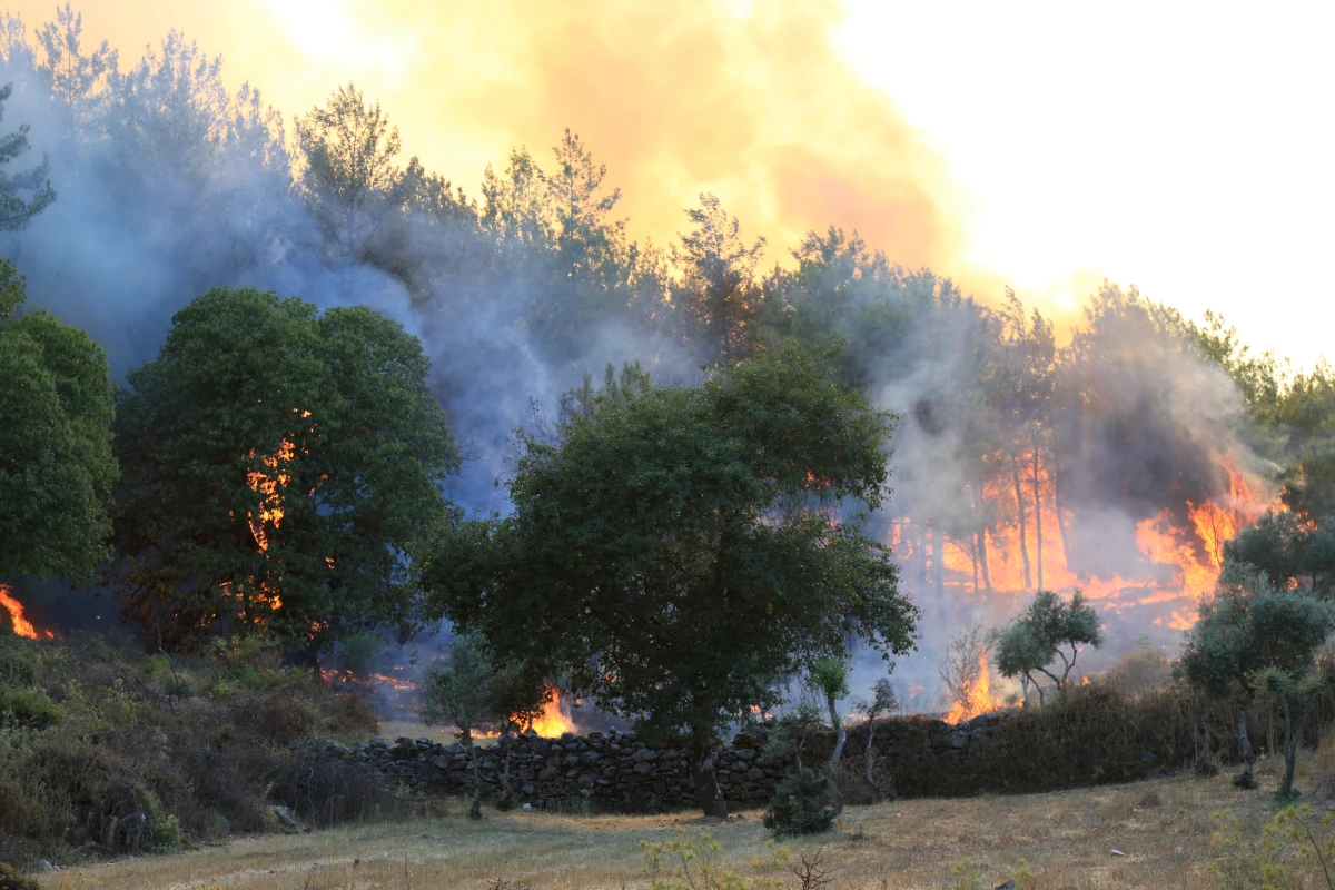 Muğla Milas\'taki yangını söndürme çalışmaları devam ediyor