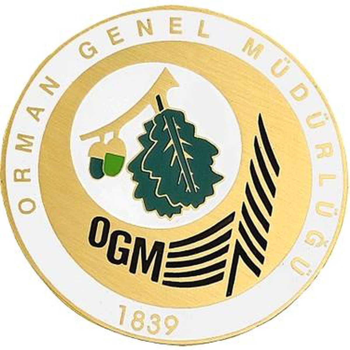 Orman Genel Müdürlüğü: "Köyceğiz\'de söndürme helikopteri düştüğü haberleri asılsızdır"
