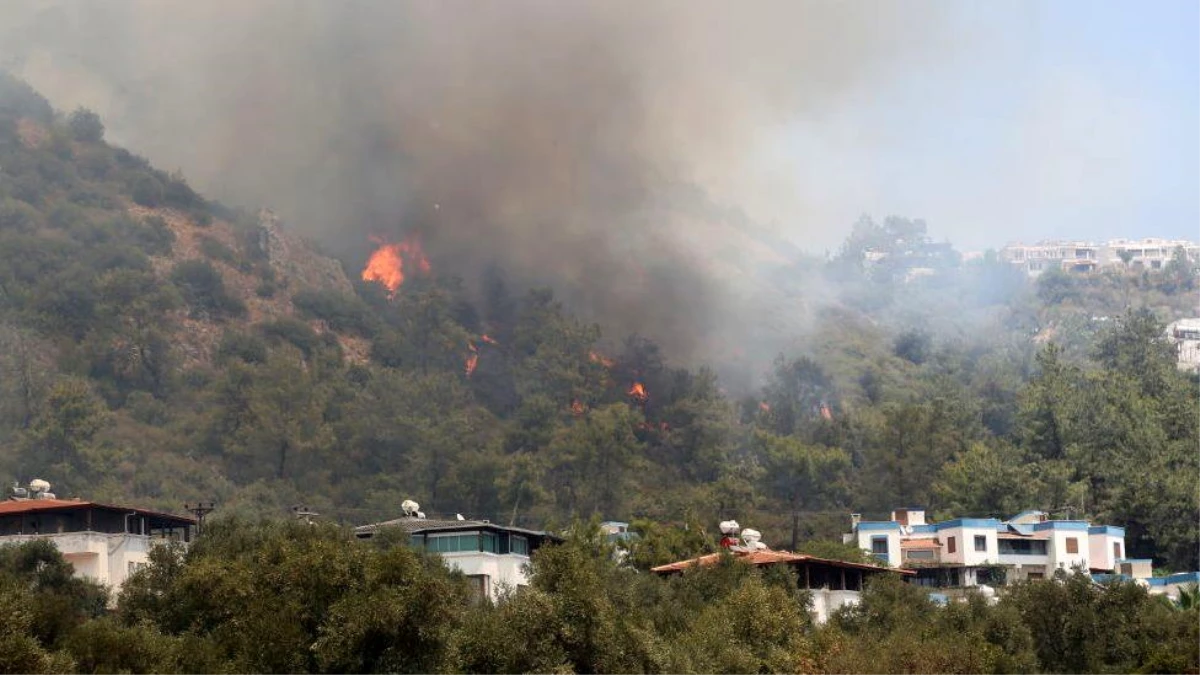 Orman yangınları: RTÜK, \'TV yöneticilerini tehdit ettiği\' iddiaları için ne diyor?