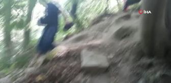 Ormandaki cam şişeleri topladılar