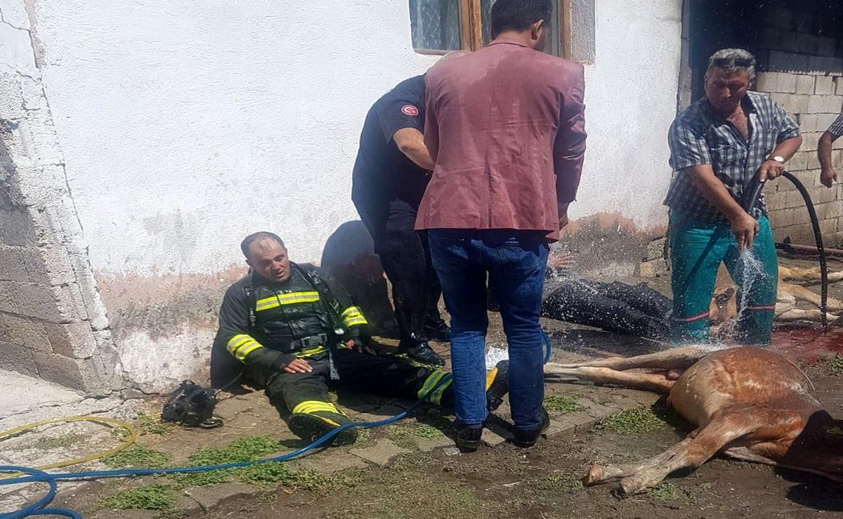 Pasinler\'de çıkan yangında 5 hayvan telef oldu