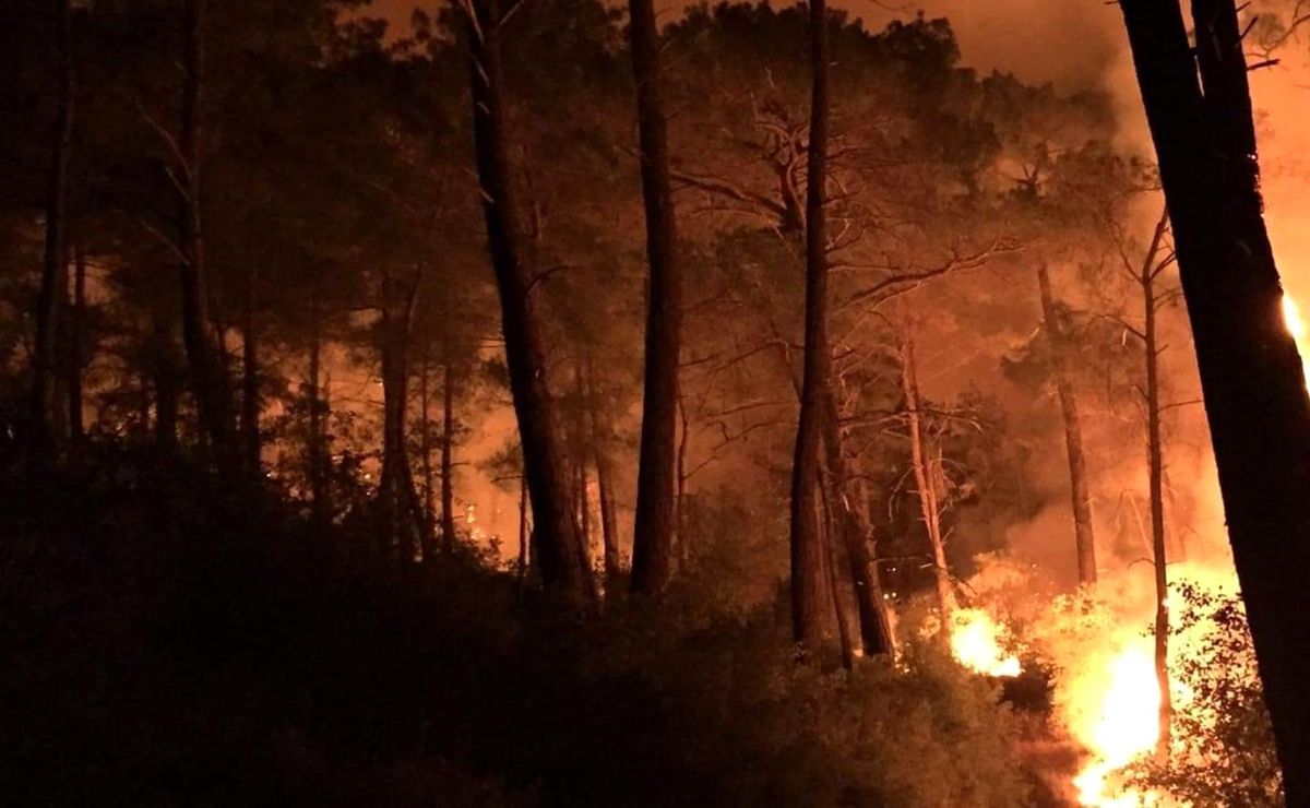 Son dakika 3. sayfa: Seydikemer\'de üç ayrı noktada orman yangını çıktı
