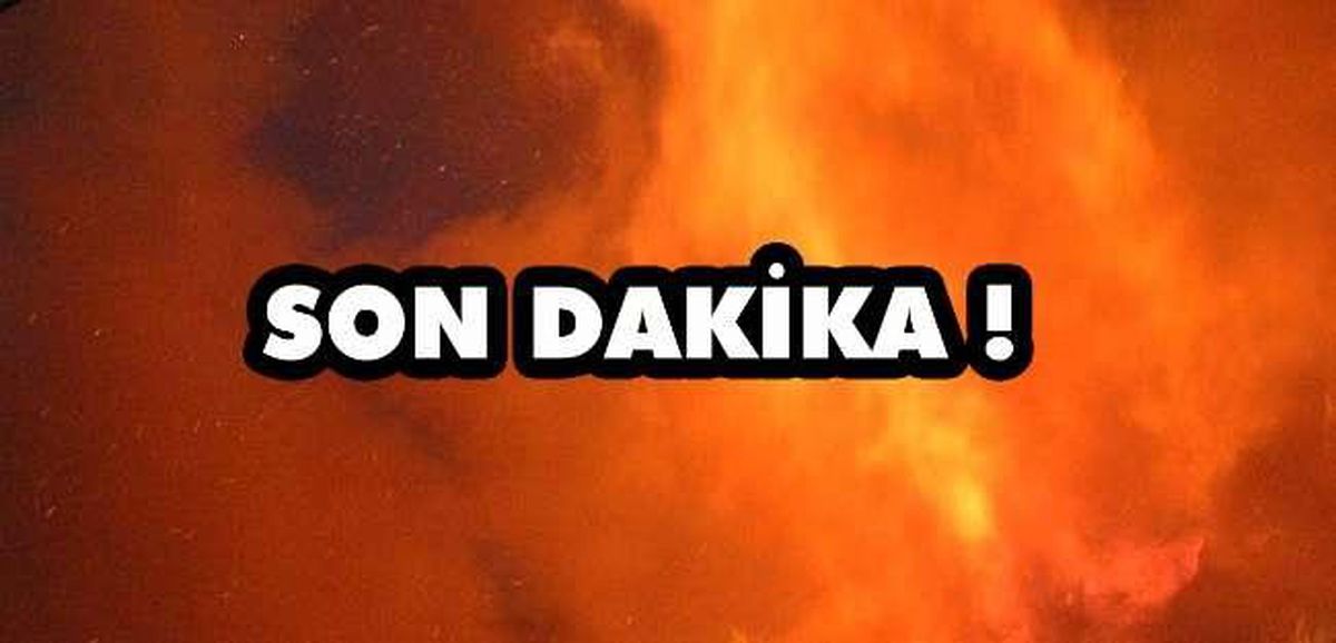 Tarım ve Orman Bakanı Pakdemirli, Muğla\'nın Marmaris ilçesinde yangınlarla ilgili konuştu: (1)