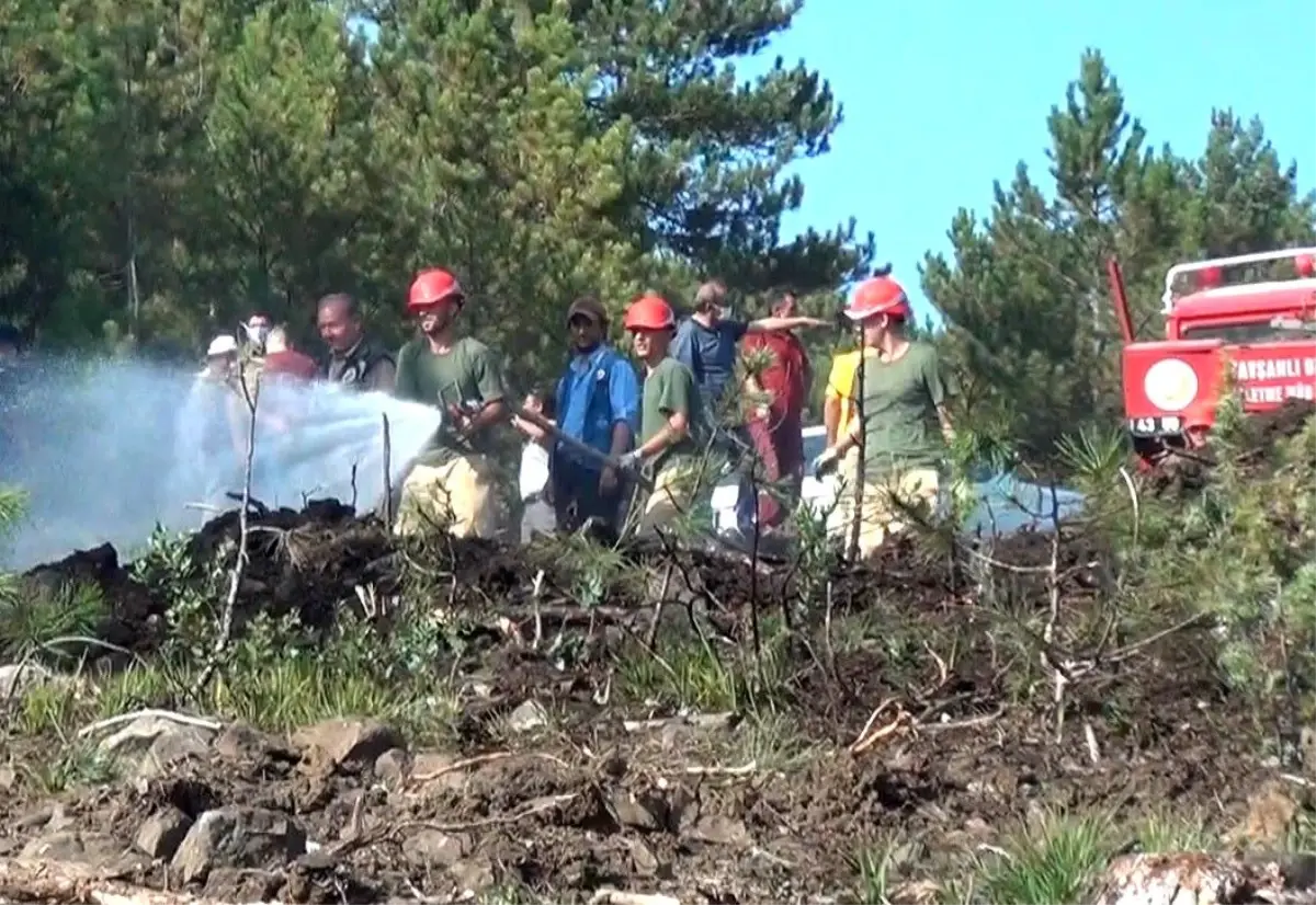 Tavşanlı\'da ormanlık alanda çıkan yangın büyümeden söndürüldü