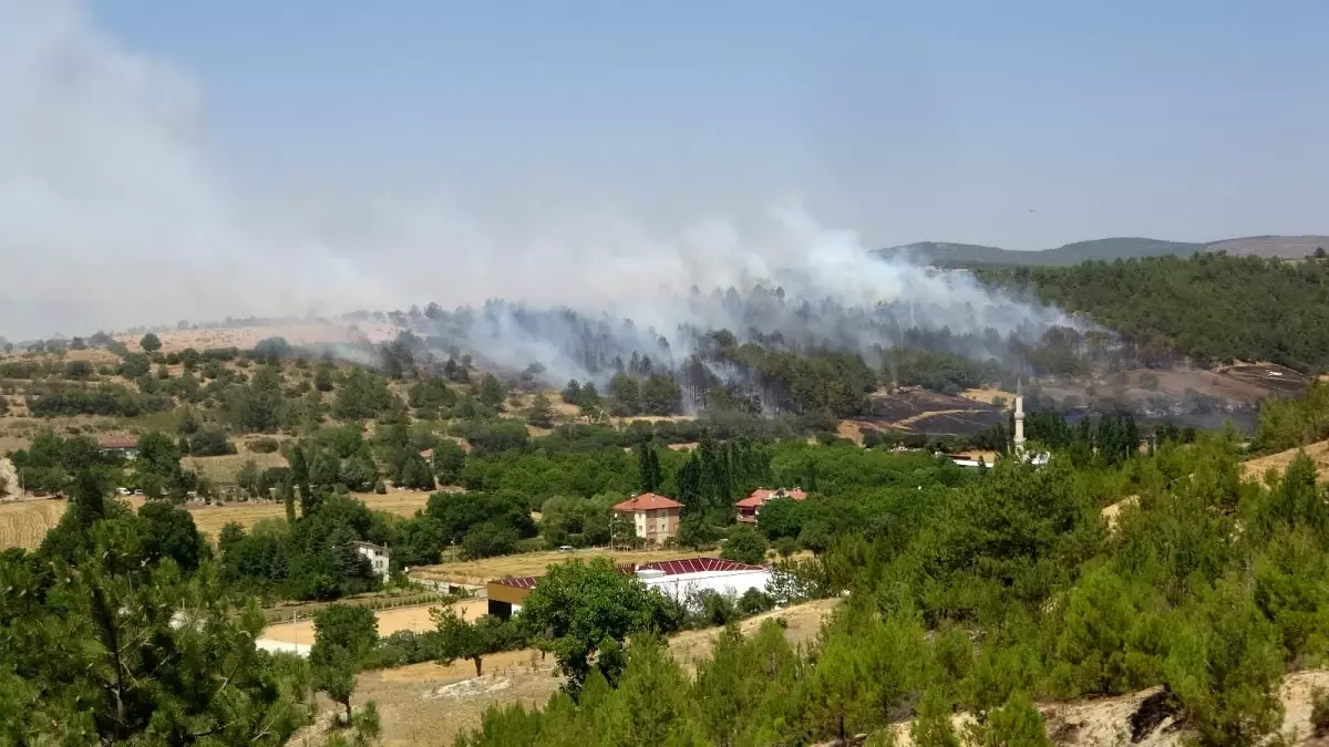 Son dakika haberleri! Uşak\'ta çıkan 2 orman yangını kontrol altına alındı