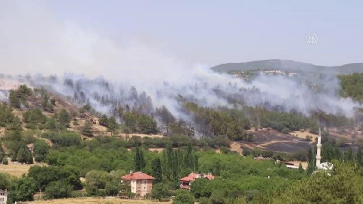 Uşak\'taki orman yangını kontrol altına alındı