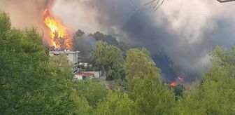 Yunanistan'da orman yangınları devam ediyor