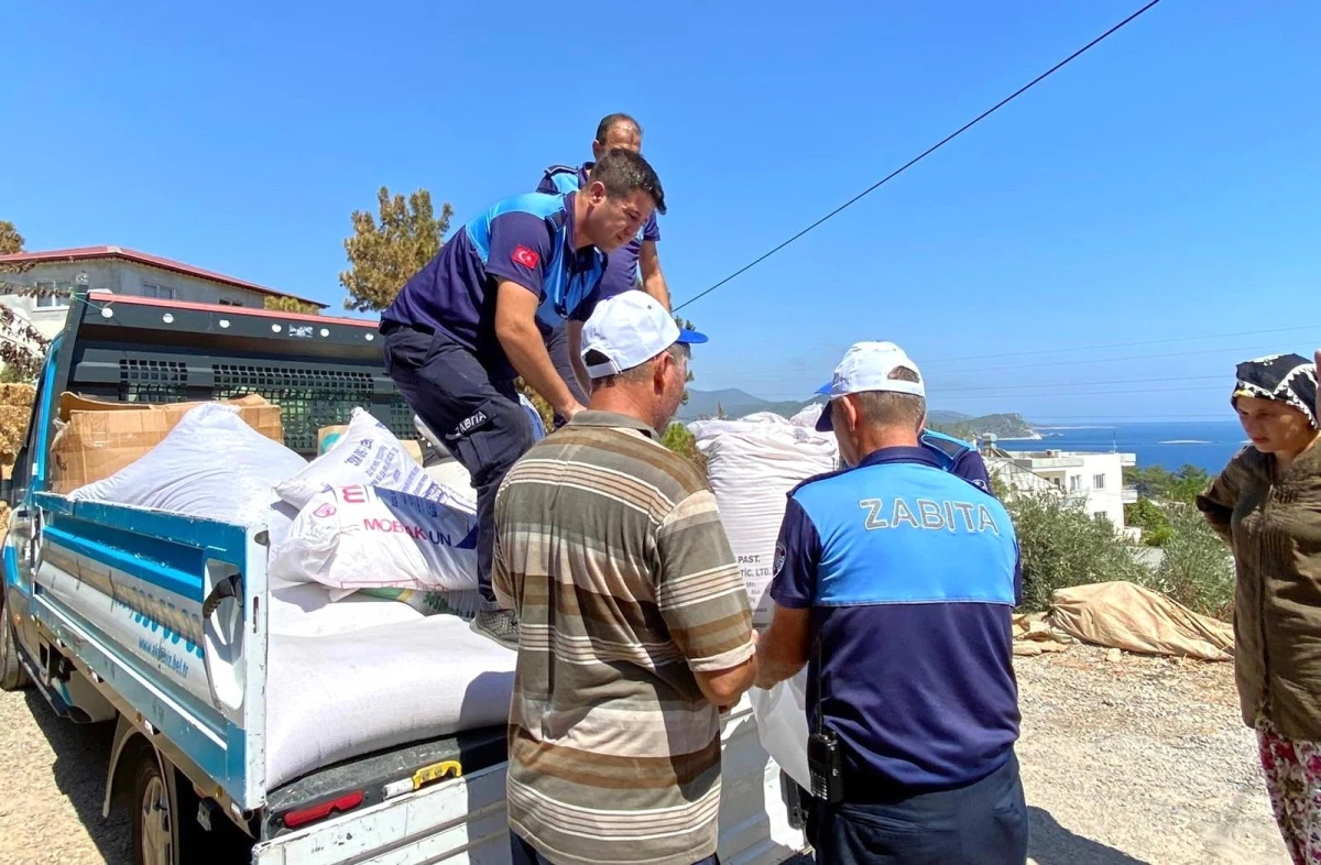 Son dakika haber: Akdeniz Belediyesi, yangın bölgesinde yaraları sarmaya devam ediyor