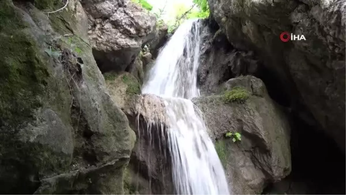 Amasya\'nın serinleten saklı cenneti \'Aktaş Şelalesi\'