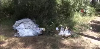 Ataşehir'de Kayışdağı Ormanı'nda temizlik çalışmaları sıklaştırıldı