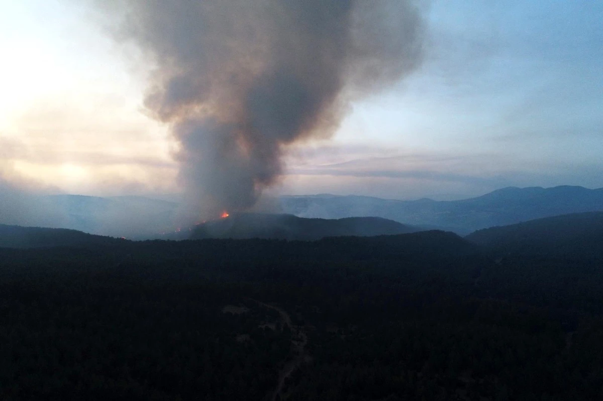 Son dakika haberi | Aydın-Muğla sınırında başlayan orman yangına müdahale sürüyor