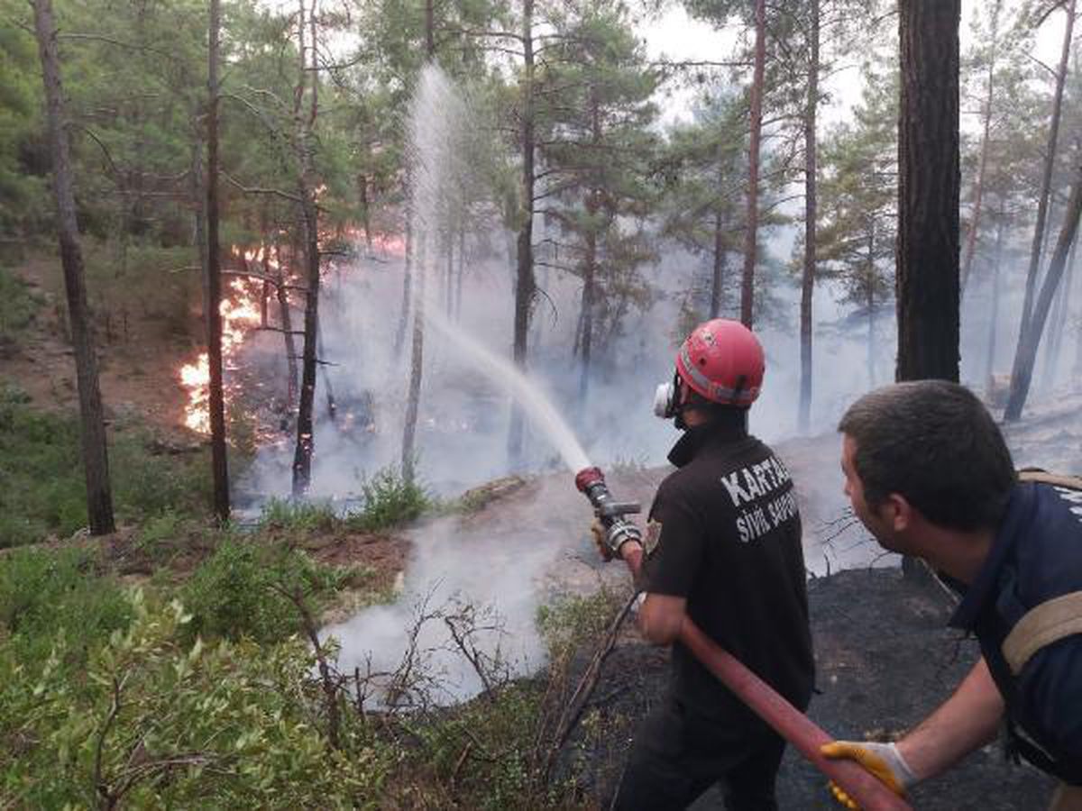 Son dakika gündem: Belediye ekiplerinin orman yangınları ile mücadelesi sürüyor