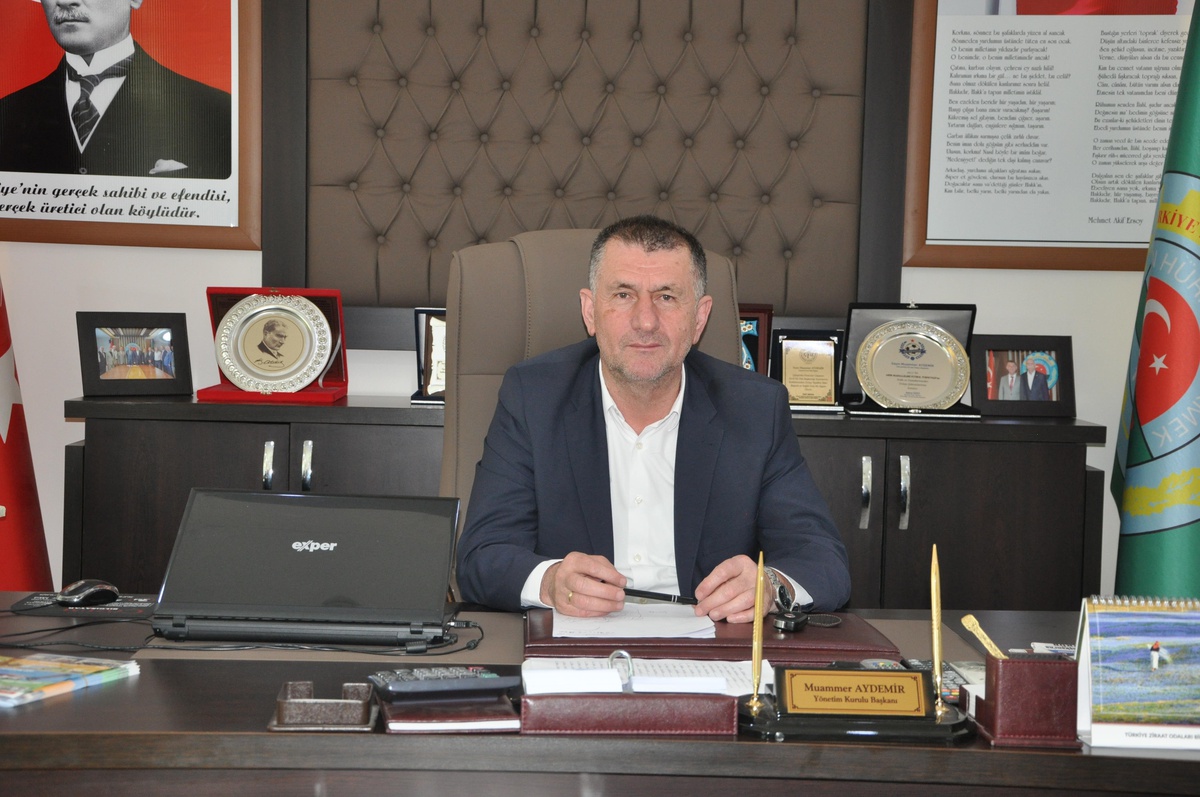 Çarşamba Ziraat Odası\'ndan fındık rekoltesi açıklaması