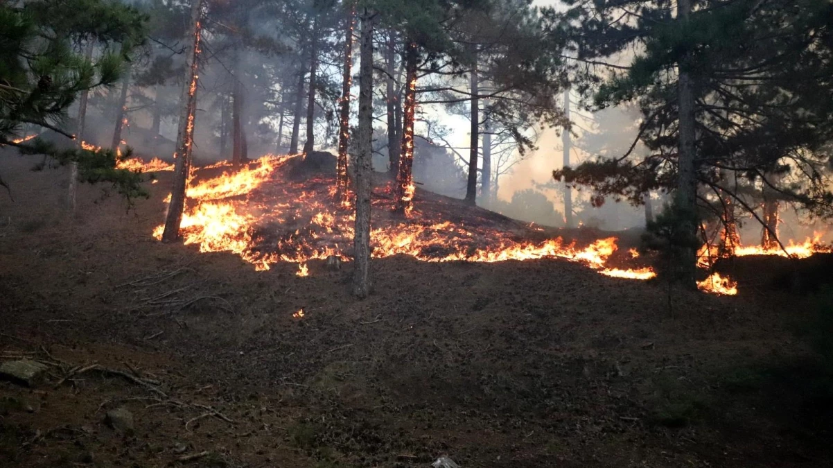 Denizli bir uçtan bir uca yanıyor