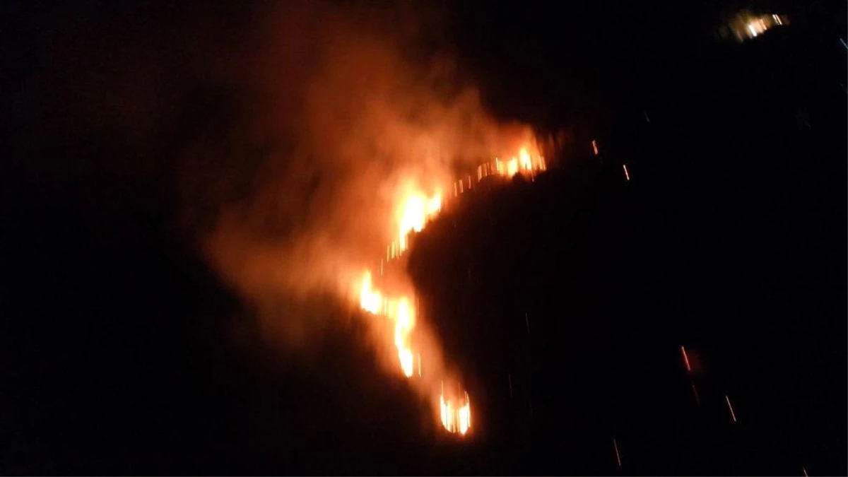 Son dakika haberi: Didim\'deki yangın Akbük\'e sıçramadan kontrol altına alındı