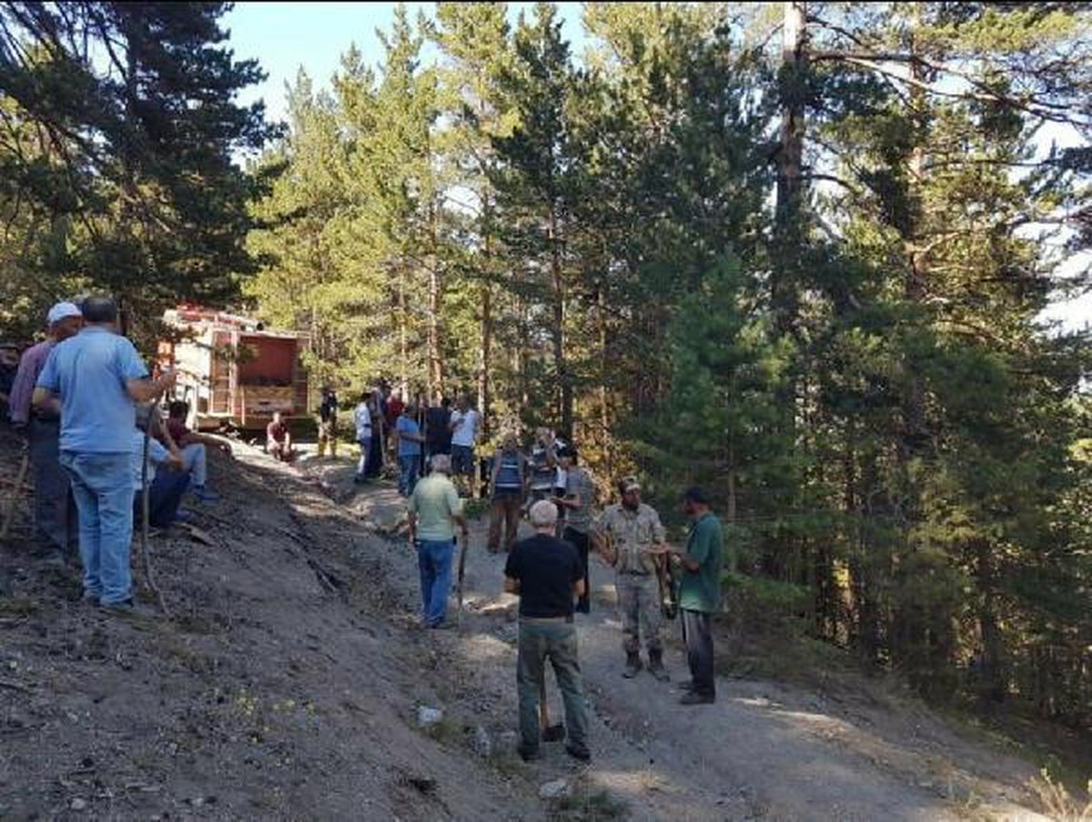Erzincan\'da orman yangını 2 saatte söndürüldü