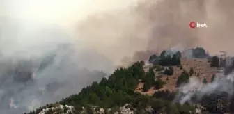 Eynif Ovasına yaklaşan yangına müdahale sürüyor
