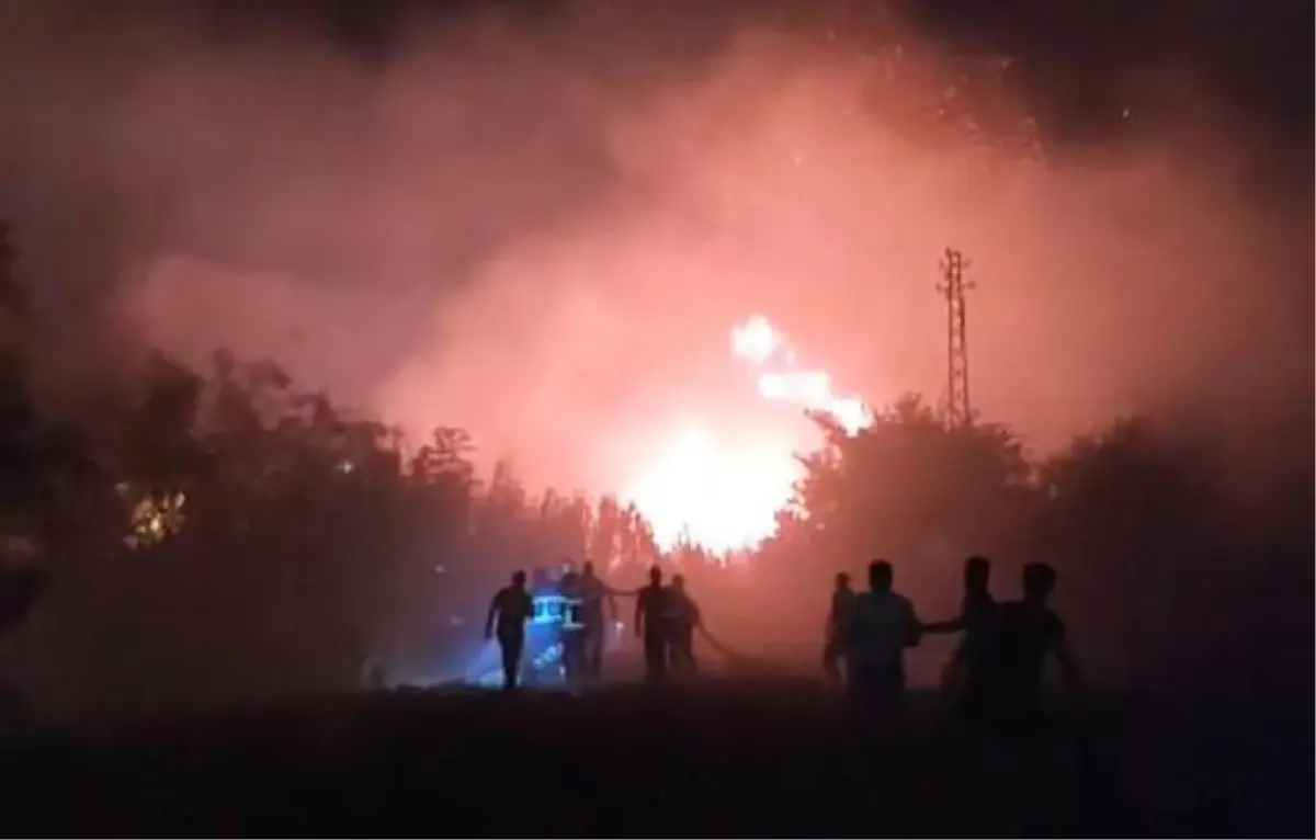 Son dakika haber... Hatay\'da Asi Nehri kıyısında otluk yangını