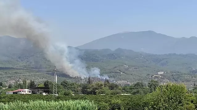 Hatay'da orman yangını Hatay'da orman yangını