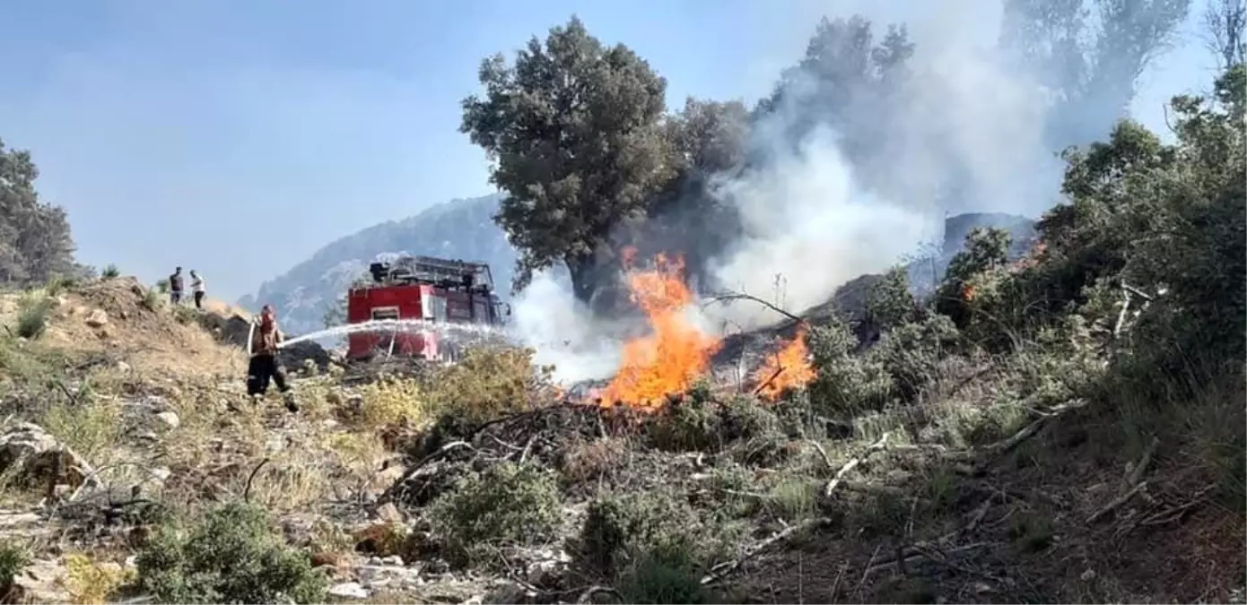 Son dakika haber | Isparta\'da komandolar yangın bölgesinde