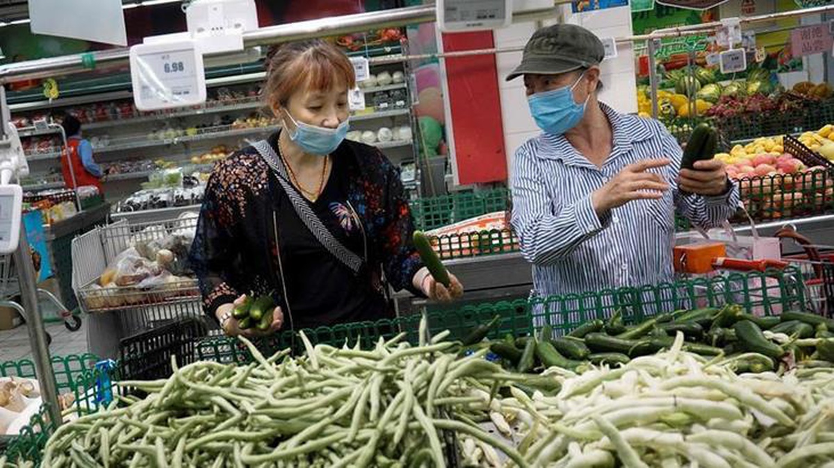 Marul alırken düştü 1.5 milyon lira kazandı! Japon müşteri 5 yıllık mücadelesini kazandı