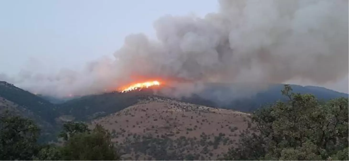 Karacasu\'da orman yangını (2)