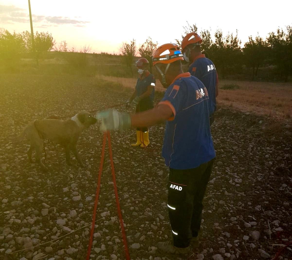 Kuyuya düşen köpeği AFAD ekipleri kurtardı