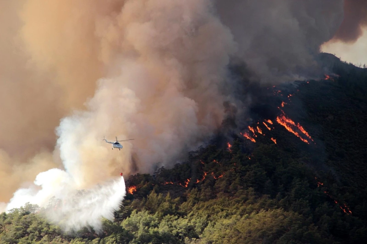 Muğla\'da yanan alan 40 bin hektara yaklaştı
