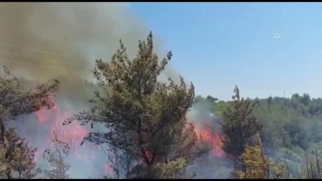 Orman yangınına havadan ve karadan müdahale ediliyor