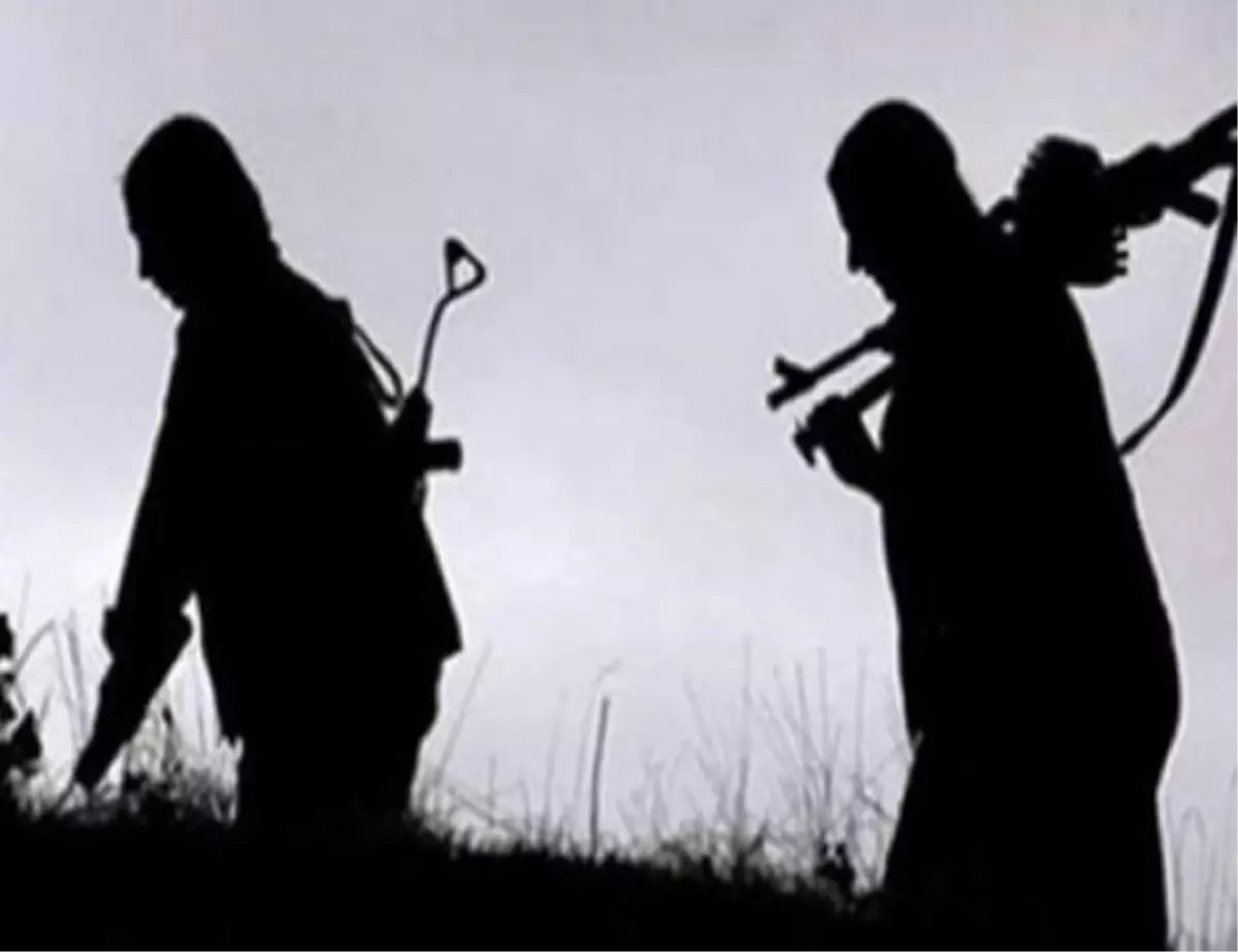 Son dakika haberleri... Siirt-Pervari kırsalında 2 terörist etkisiz hale getirildi