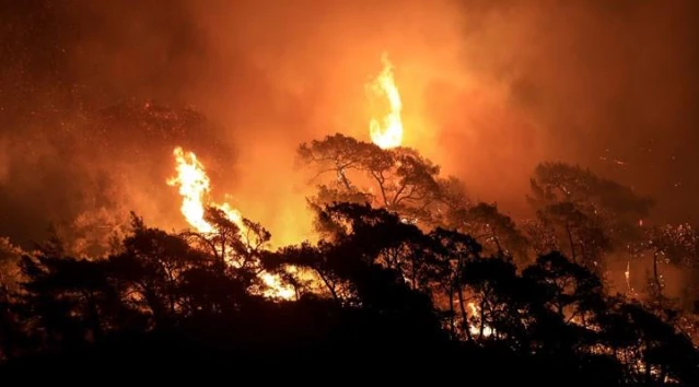 Son Dakika: Ticaret Bakanlığı, yangın söndürme ekipmanlarına yapılan fahiş fiyat artışlarıyla ilgili inceleme başlattı