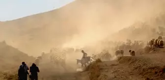 Sürülerin Nemrut Dağı'ndaki tozlu yolculuğu fotoğraf sanatçılarından ilgi görüyor