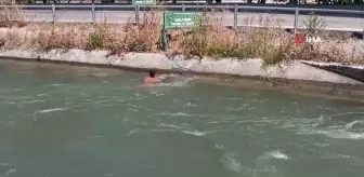 Tehlikeye balıklama atlayış