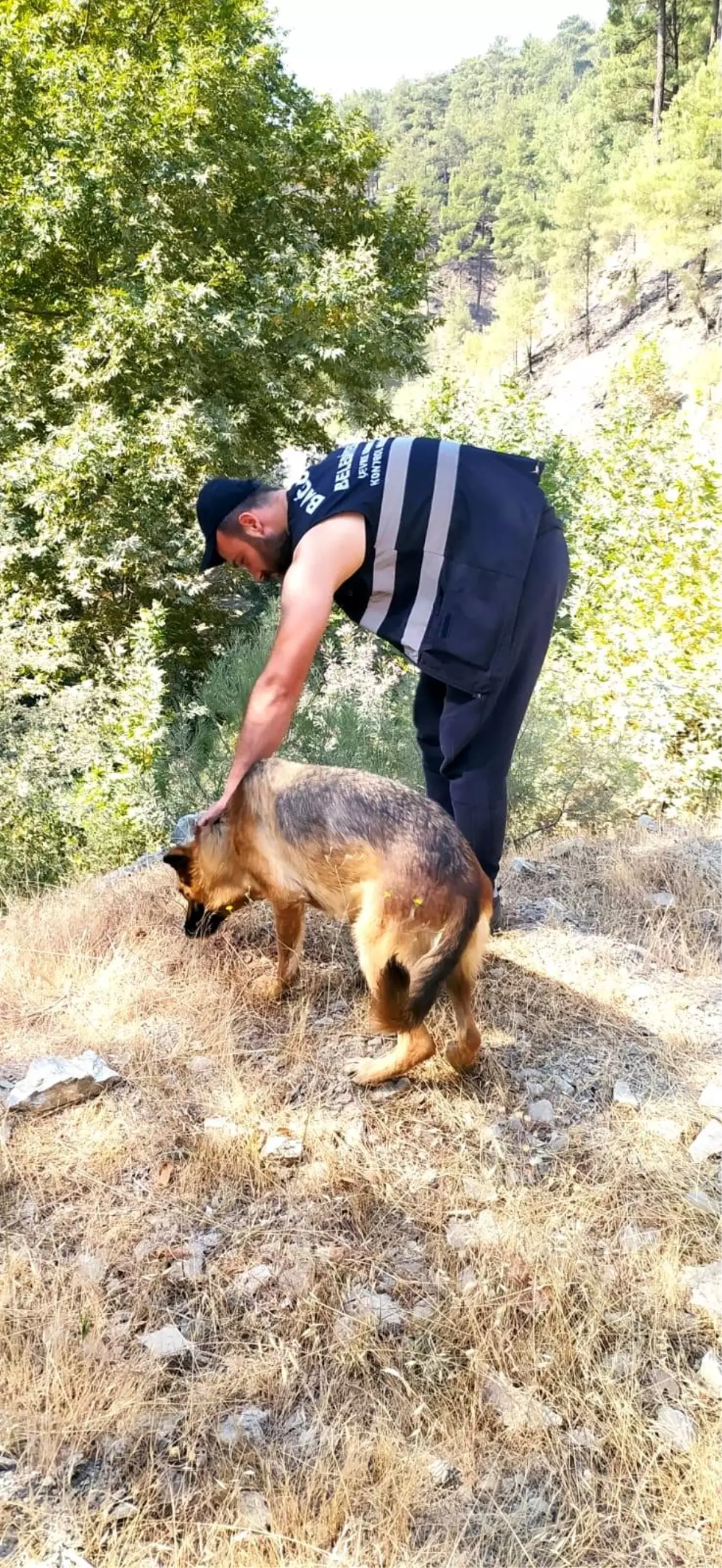 Son dakika haberleri: Yangın görevlisi, yemeğini köpekle paylaştı