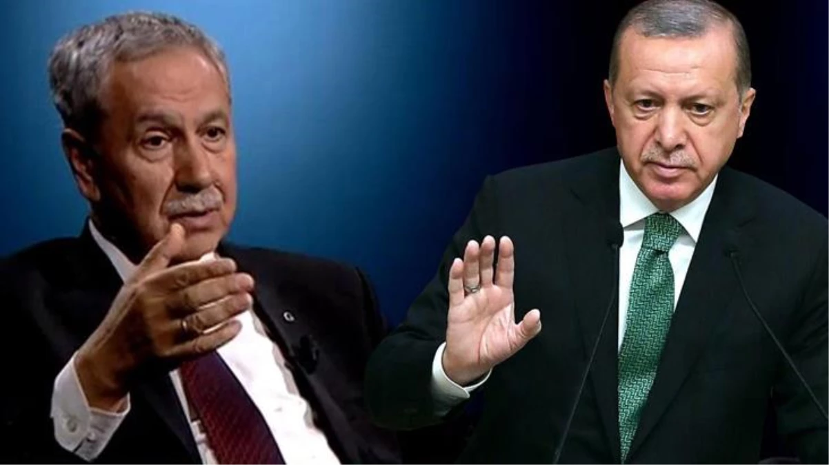 Bülent Arınç\'tan Cumhurbaşkanı Erdoğan\'a yangınla mücadele önerisi: Bunu yapmazsanız zarar görürsünüz