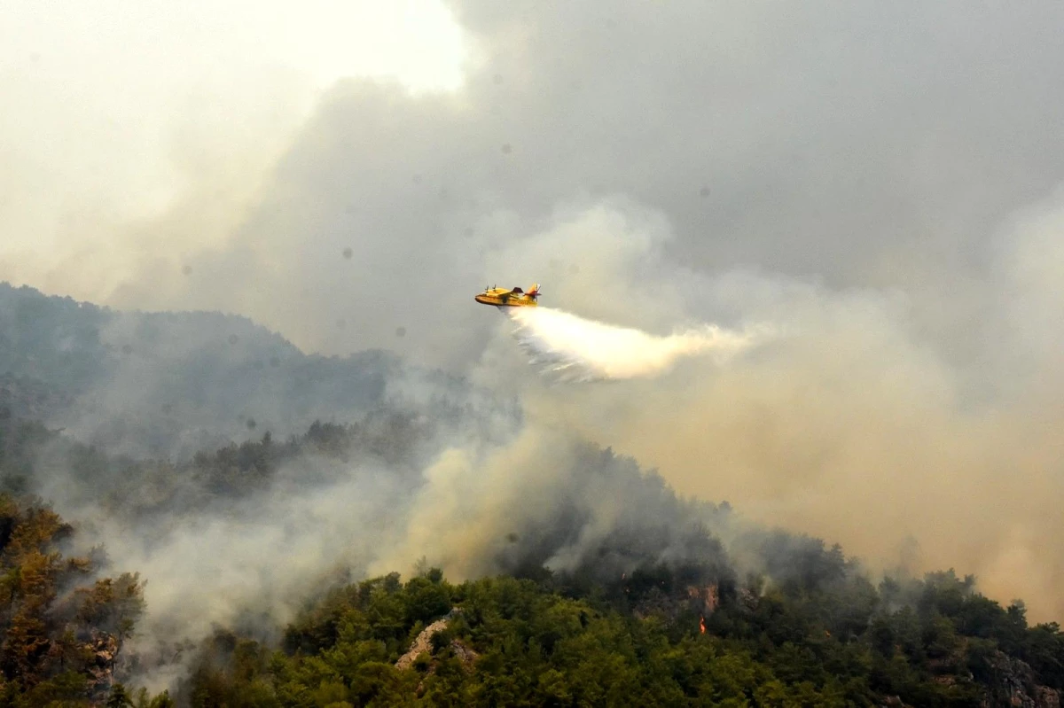 6 bin hektarın küle döndüğü Köyceğiz\'de yangın devam ediyor