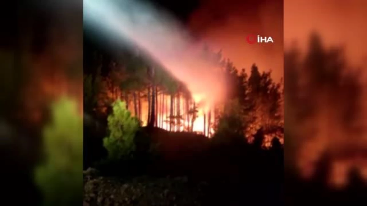 Antalya\'nın Manavgat ilçesindeki yangına polislerden TOMA ve kumlu müdahale
