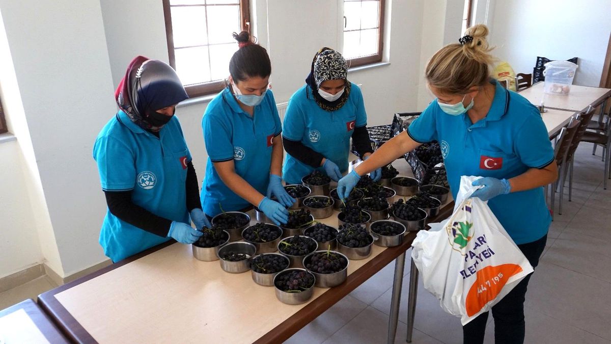 İhtiyaç sahibi ailelerin meyveleri Beypazarı Belediye Bahçesinden karşılanacak