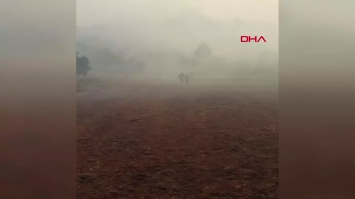 Son dakika: MSB: MİLAS\'IN FESLEĞEN YAYLASI\'NDAKİ YANGINDA MAHSUR KALAN BİR VATANDAŞIMIZ KURTARILDI