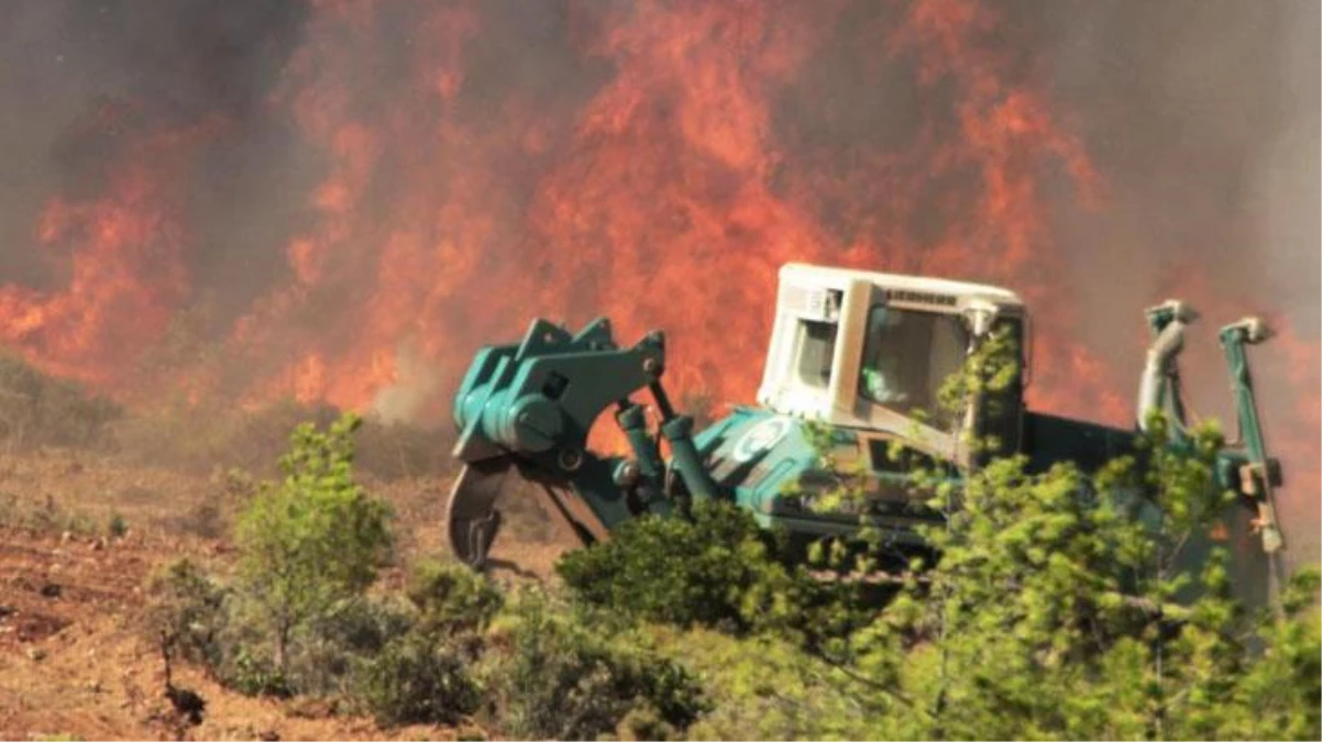 Muğla\'da zeytinlik ve ormanlık alandaki yangınlara 6 tutuklama