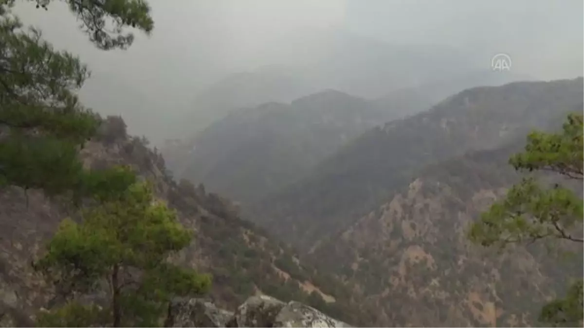 Son dakika haberi... Orman yangınının söndürülmesine mahalle sakinleri traktörlerle destek verdi