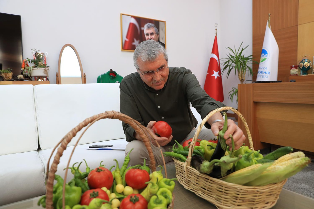 Sakarya Büyükşehir Belediyesinin yetiştirdiği ata tohumları ilk mahsullerini verdi