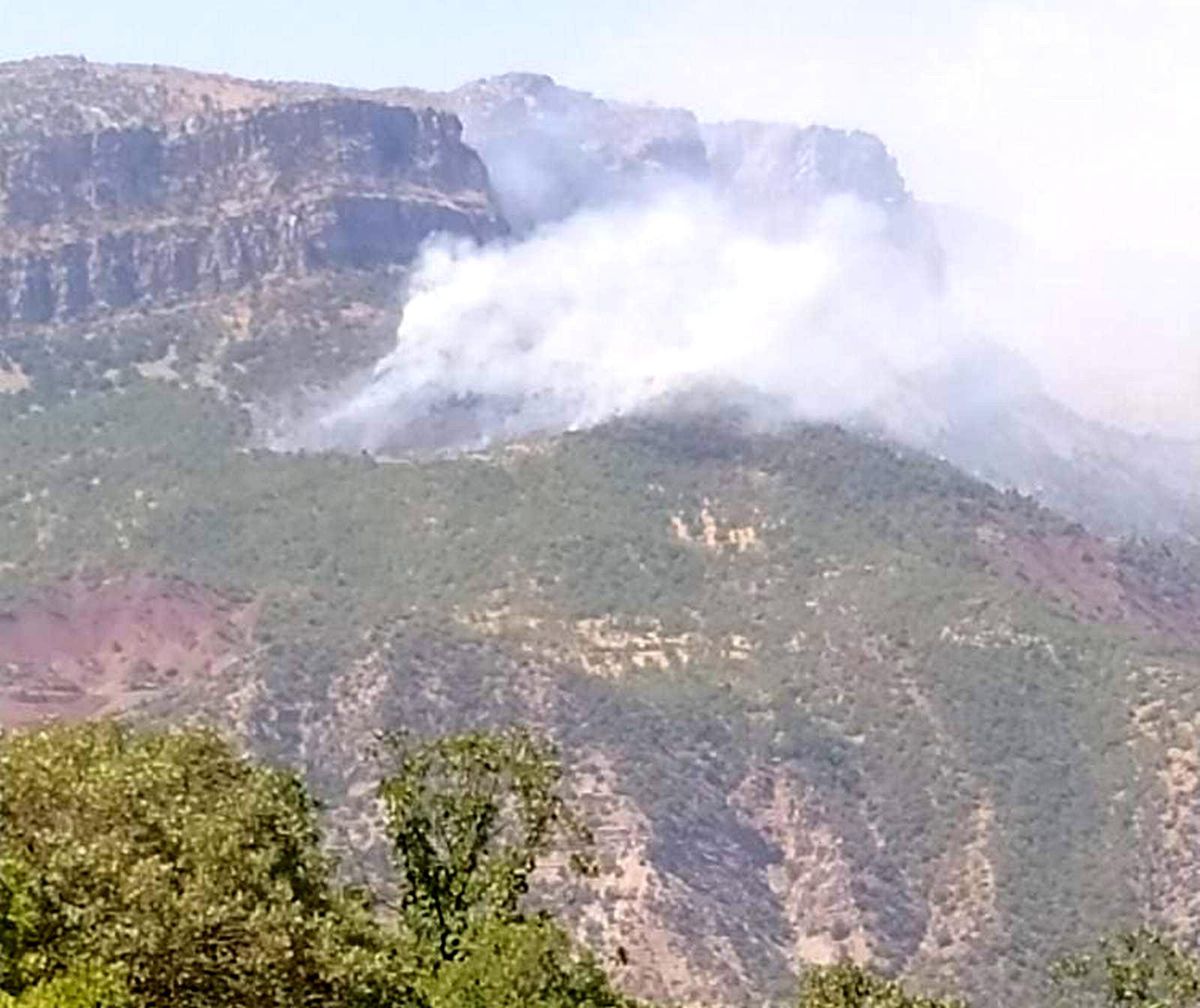 Siirt\'te orman yangını