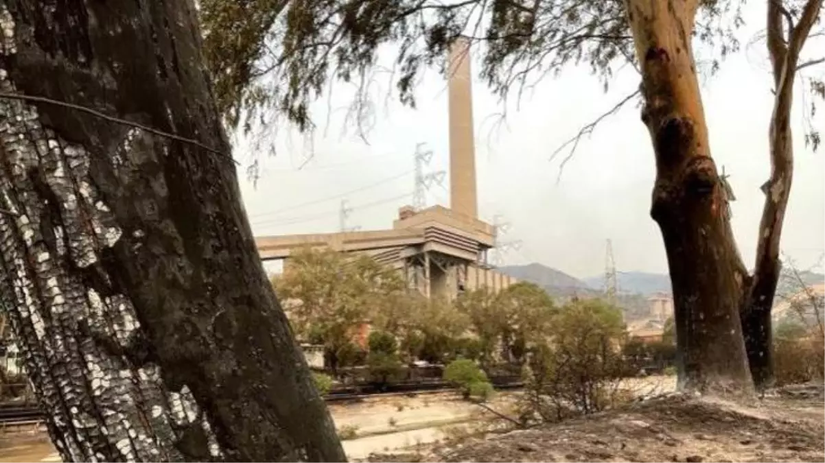 Son Dakika! Bakan Dönmez\'den termik santralle ilgili açıklama: Santrali ve sağlığı tehdit eden bir durum yok